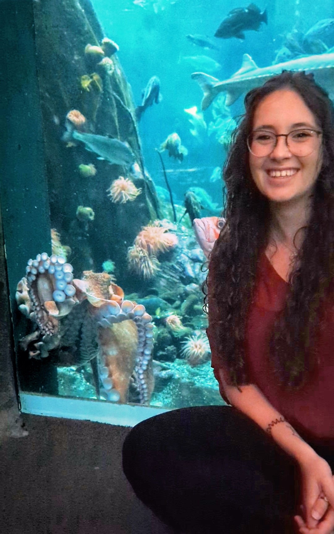 Virtual Author Visit- Underwater Friends A-Z